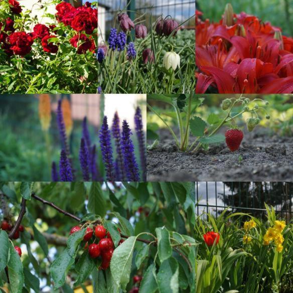 Gartenblick Trebbin Kültér fotó