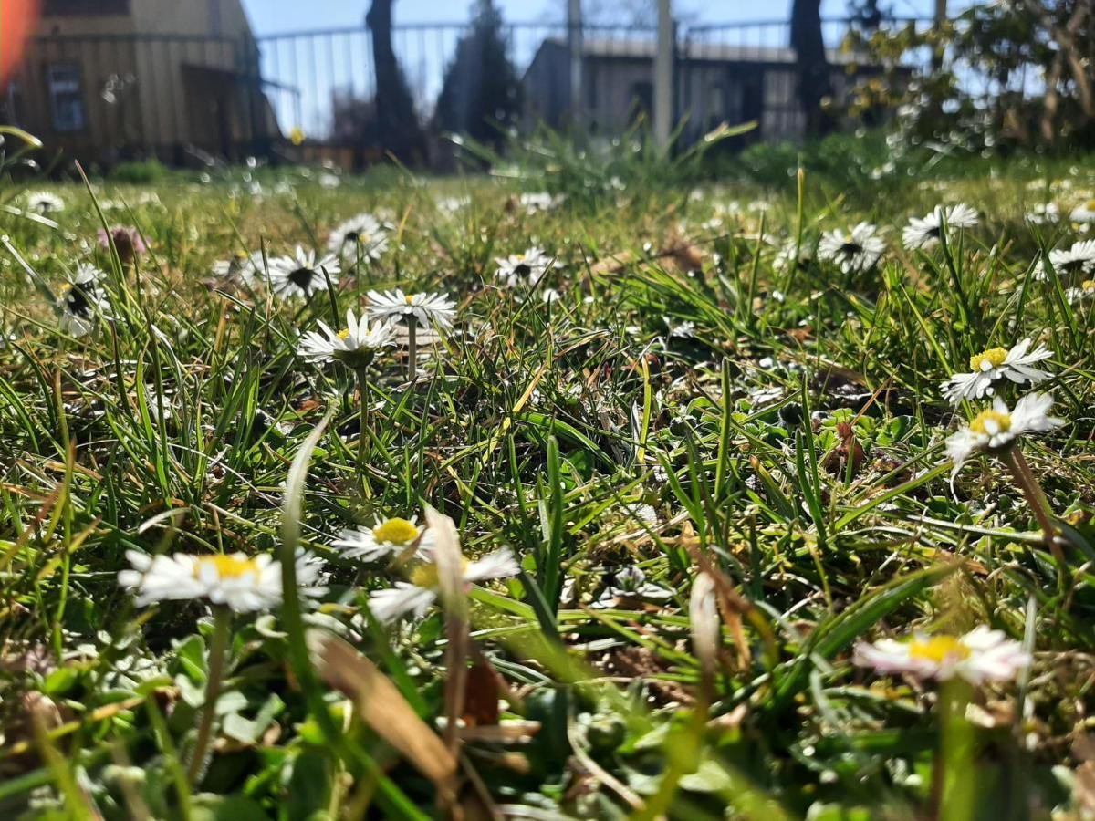 Gartenblick Trebbin Kültér fotó