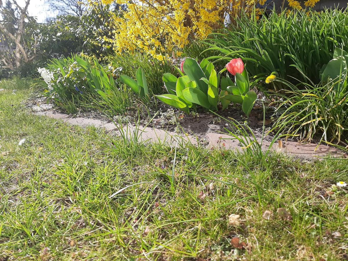 Gartenblick Trebbin Kültér fotó